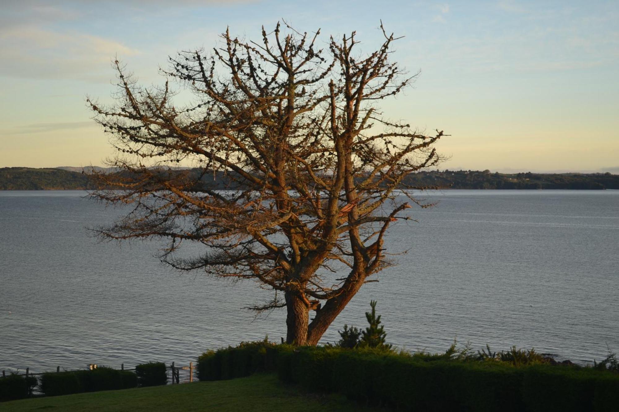 Panamericana Hotel Ancud Exterior photo